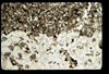 ap1603_11_13