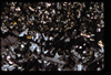 ap1603_11_14