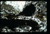ap1603_11_16