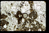 ap1603_12_03