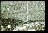 ap1603_12_07