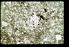 ap1603_12_09