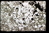 ap1603_12_11
