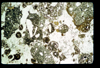 ap1603_12_13