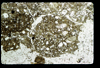 ap1603_13_04
