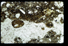 ap1603_13_05