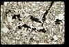 ap1603_13_11