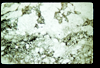 ap1603_13_18
