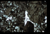ap1603_14_04