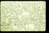 ap1603_15_17