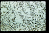ap1603_16_01