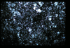 ap1603_17_15