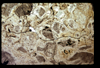 ap1604_01_09