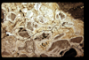 ap1604_01_11