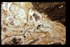ap1604_01_13