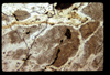 ap1604_01_15