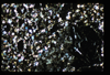 ap1604_01_18