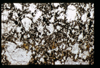 ap1604_01_19