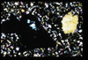ap1604_02_04