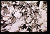 ap1604_02_05