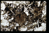 ap1604_02_09