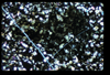 ap1604_02_12