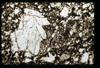 ap1604_02_15