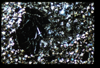 ap1604_02_16