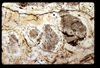 ap1604_03_05