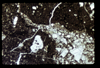 ap1604_03_10