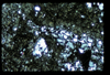 ap1604_03_11