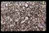 ap1604_03_12