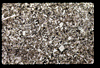 ap1604_03_14