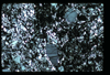 ap1604_03_17