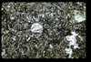 ap1604_04_05