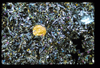 ap1604_04_06