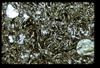 ap1604_04_07