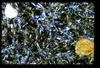 ap1604_04_08