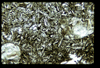 ap1604_04_09