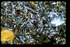 ap1604_04_10