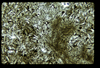 ap1604_04_11