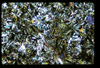 ap1604_04_12
