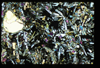 ap1604_04_16