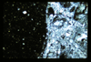 ap1604_06_02