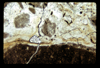 ap1604_06_03