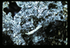ap1604_06_06