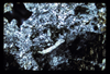 ap1604_06_08