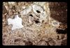 ap1604_06_09