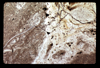 ap1604_06_11