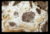 ap1604_06_15